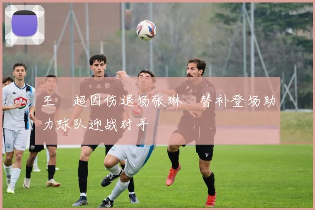 王燊超因伤退场张琳芃替补登场助力球队迎战对手